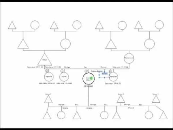 Génosociogramme — arbre familial transgénérationnel